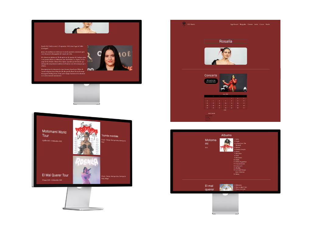 Présentation d'une artiste - Site WordPress