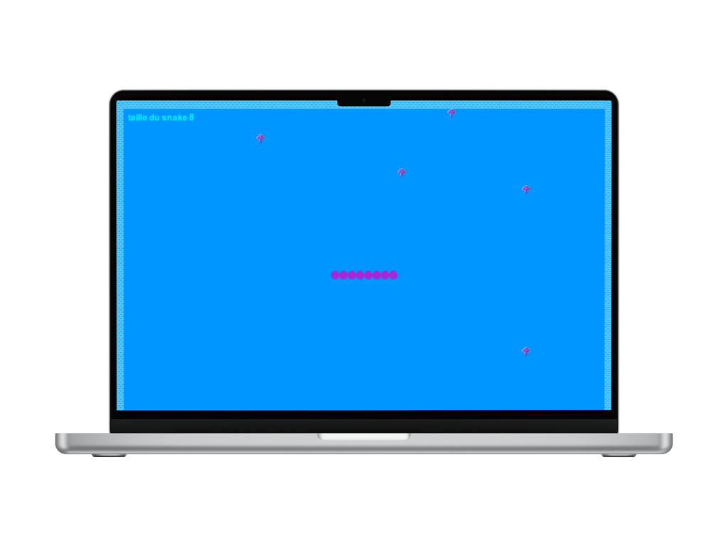 Snake - jeu développé en Python